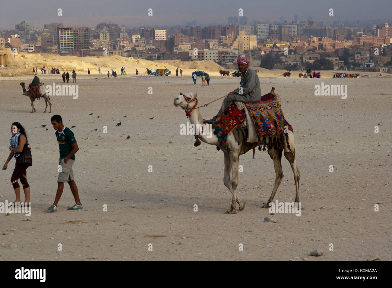 L'uomo sul cammello Cairo Egitto Africa Foto Stock