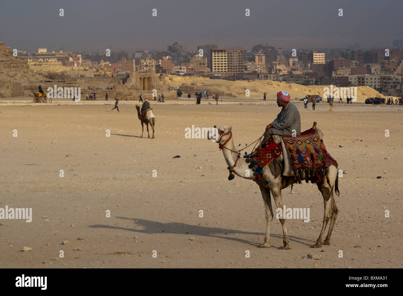 L'uomo sul cammello al Cairo in Egitto Foto Stock