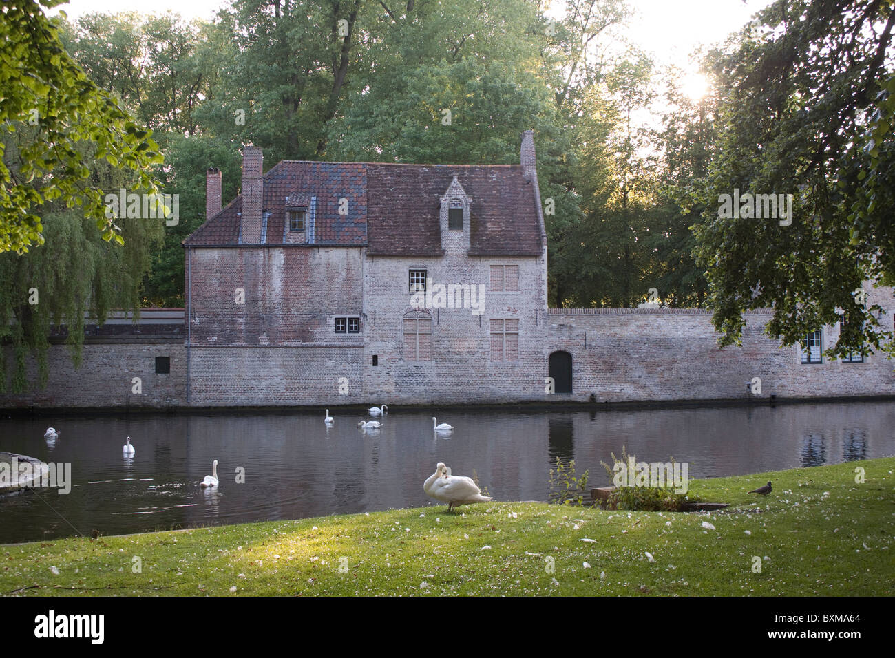 Beguinage (Begijnhof) Edificio in Bruges Minnewater lago dell'amore Foto Stock