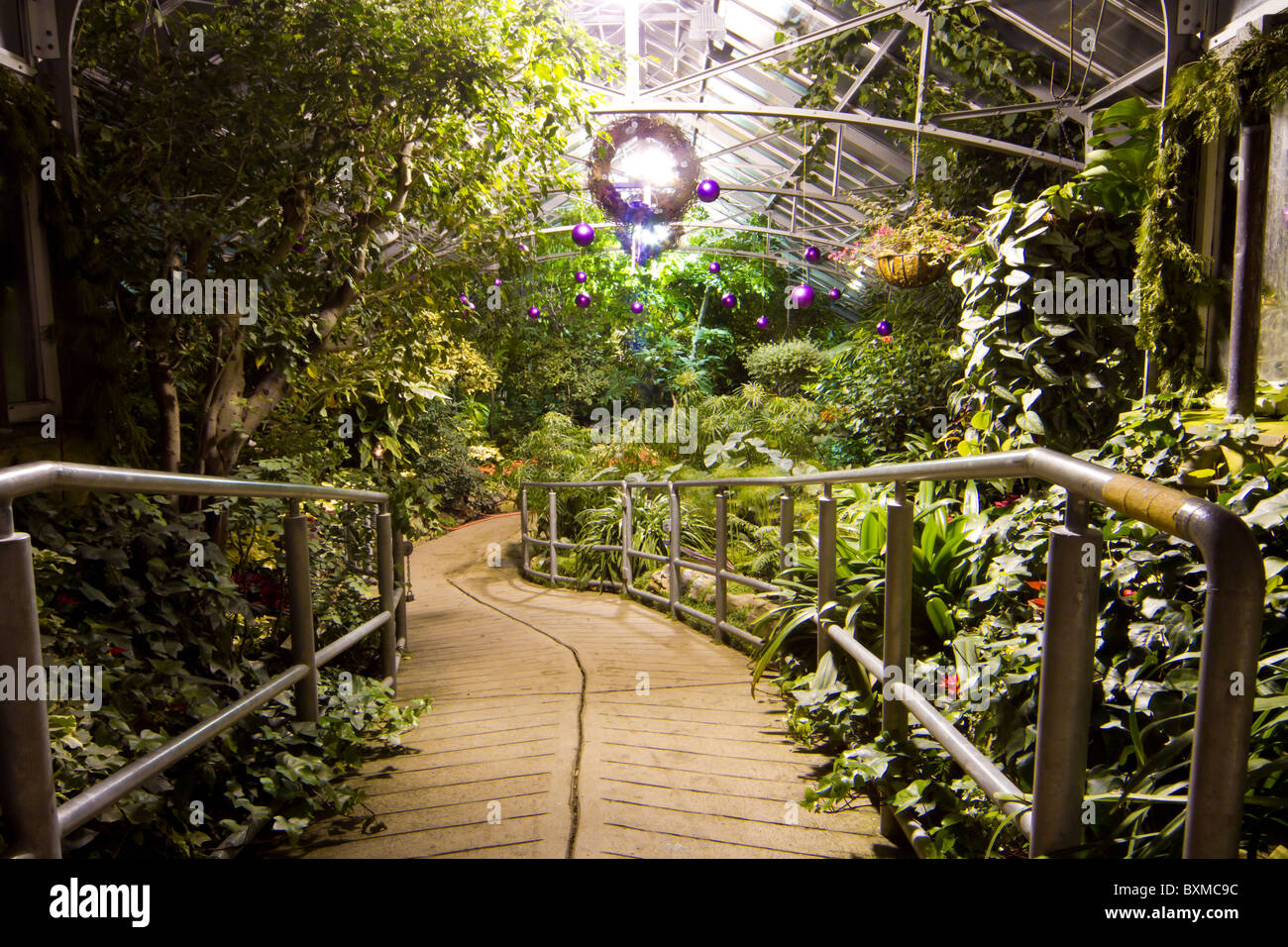 Serra giardino piante fiori pathway Foto Stock