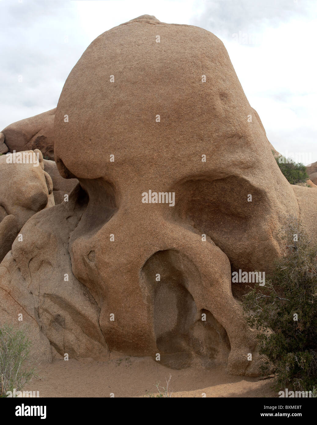 Cranio Rock, nel Parco nazionale di Joshua Tree Foto Stock