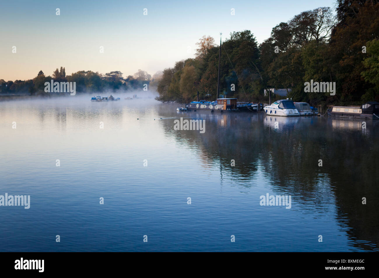 Il fiume Tamigi a Petersham,Richmond upon Thames, Foto Stock