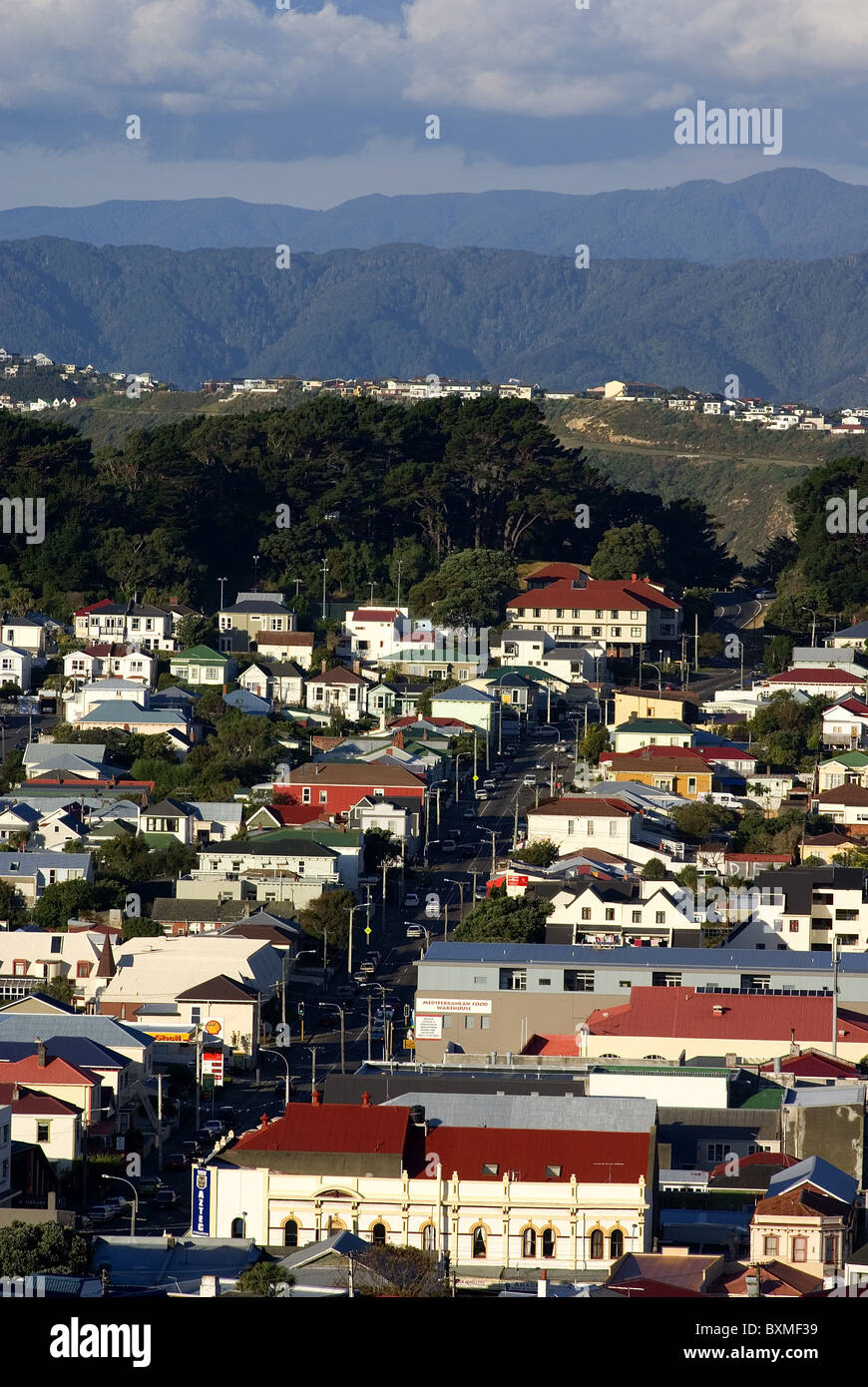 Newtown case con rimutaka colline sullo sfondo,Wellington, Nuova Zelanda Foto Stock