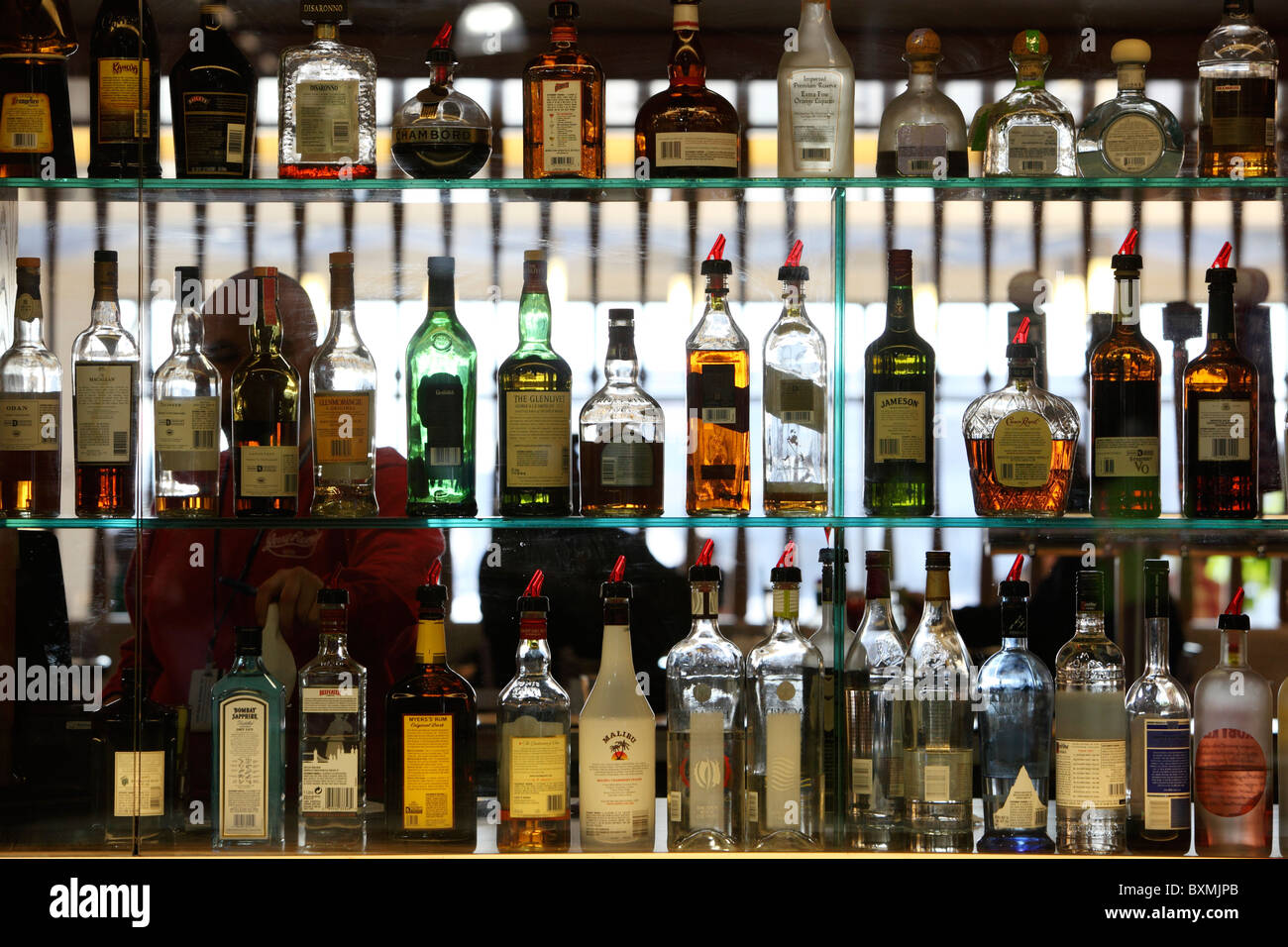 Bottiglie di liquore su ripiani in corrispondenza di un bar Foto Stock