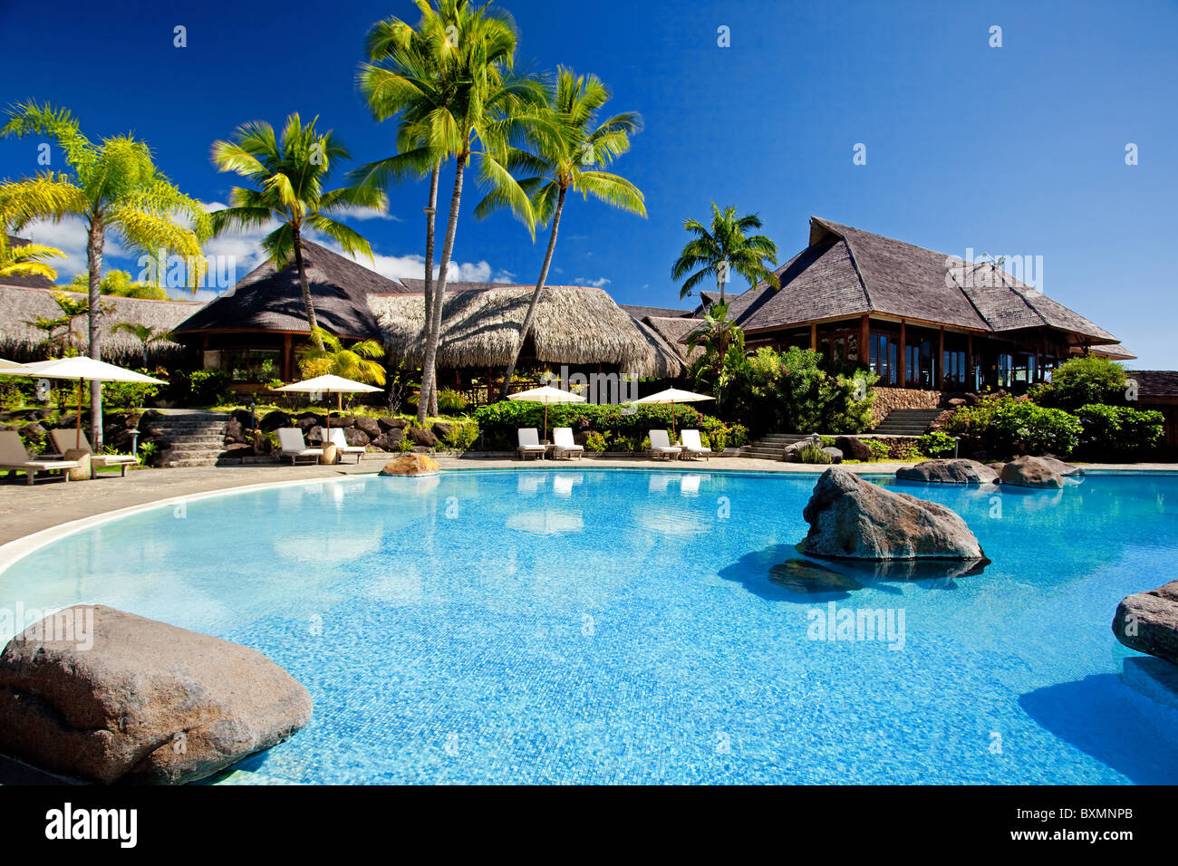 Palme appesa sopra incredibile hotel piscina con rocce Foto Stock