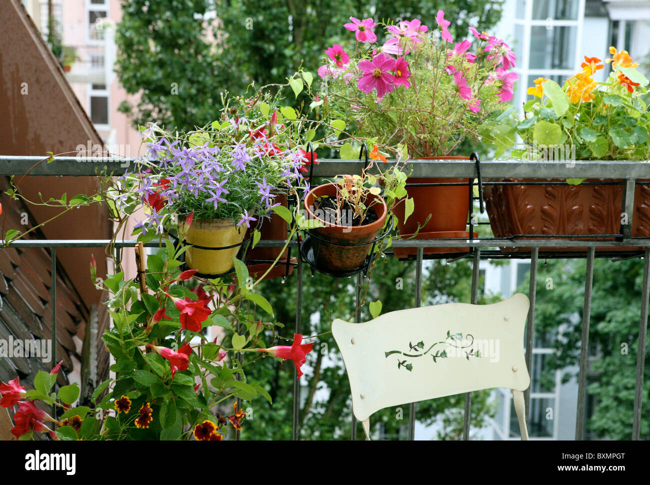 Blumen, Balkon Foto Stock