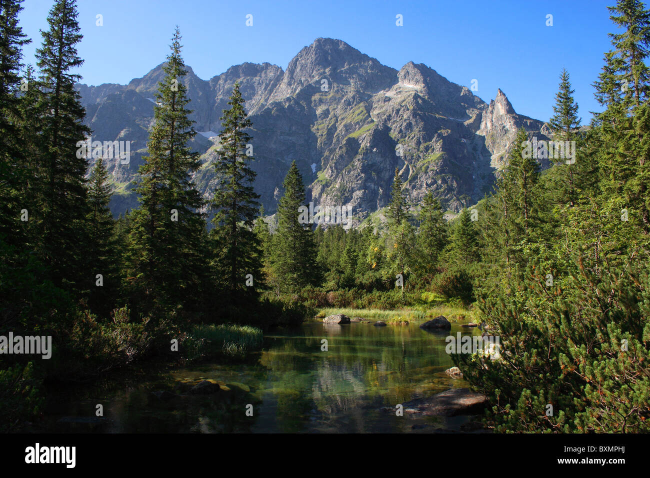 Maly Zabi Staw (piccolo lago di rana) vicino Morskie Oko nelle montagne Tatra, Polonia Foto Stock