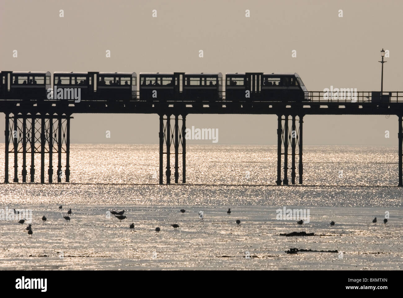 Pier e treno a Southend-on-Sea , Essex, Regno Unito Foto Stock