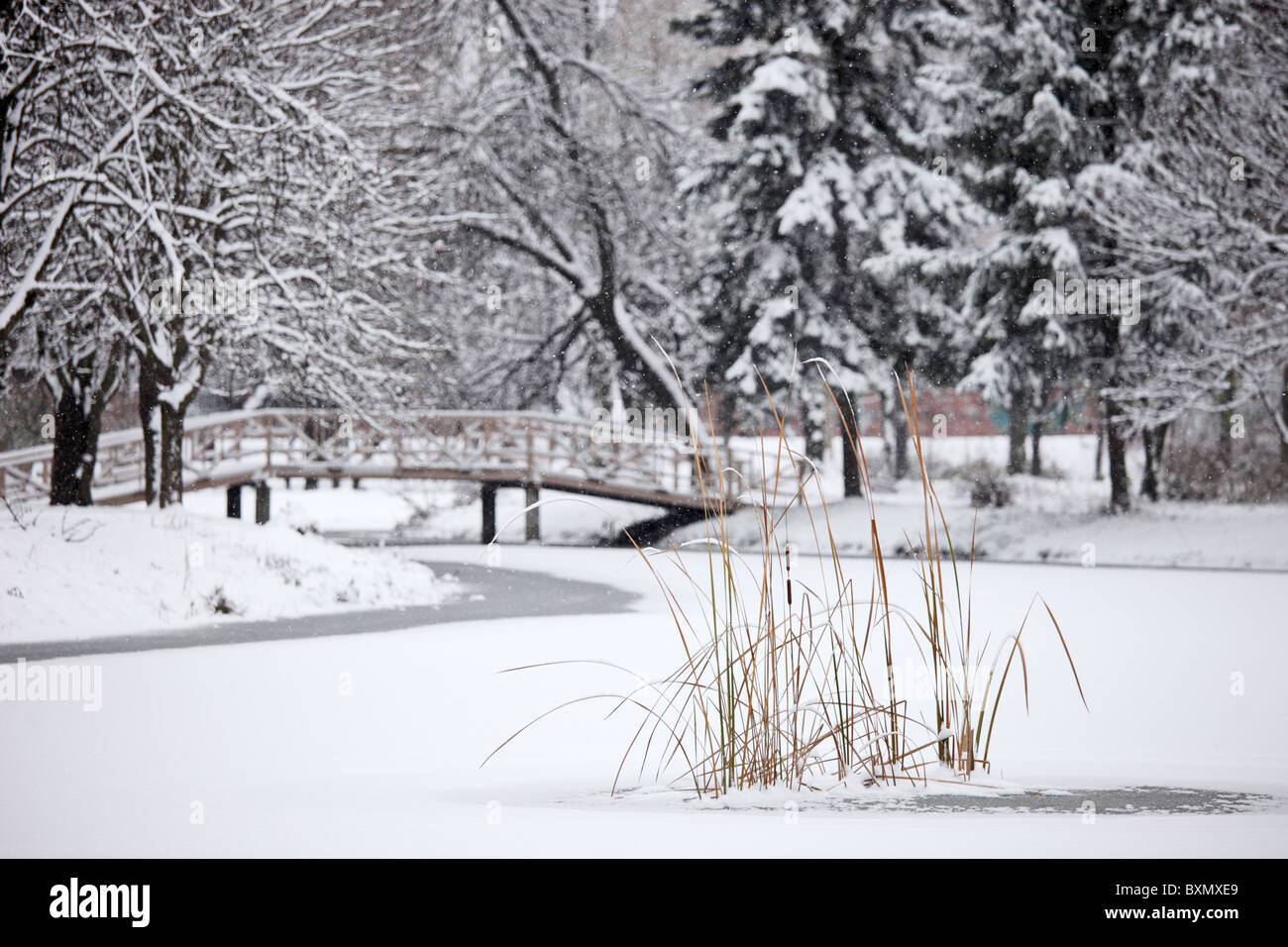 Una scena invernale dal lago ghiacciato nel parco della città di Skopje Foto Stock