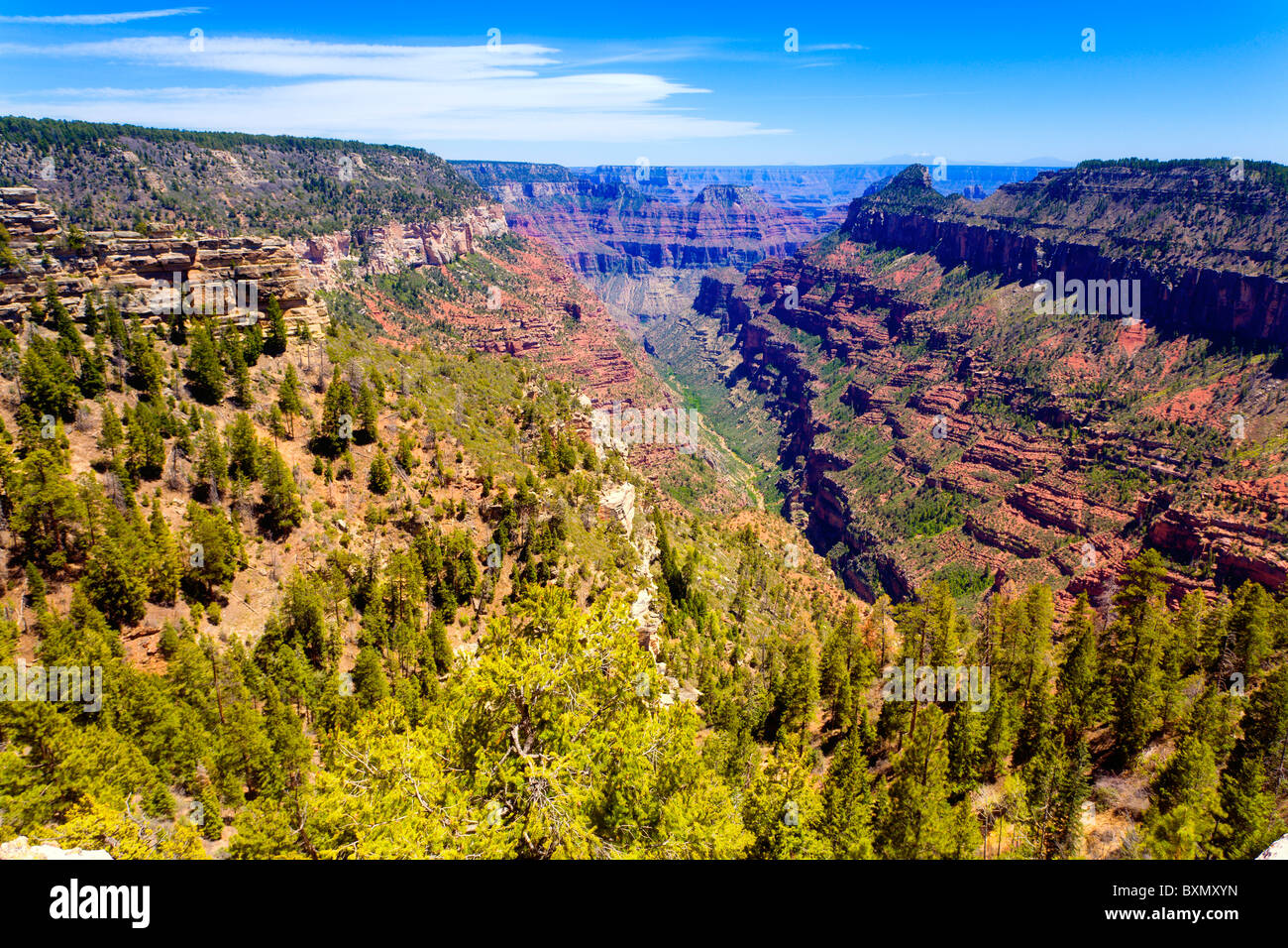 Parco Nazionale del Grand Canyon Foto Stock