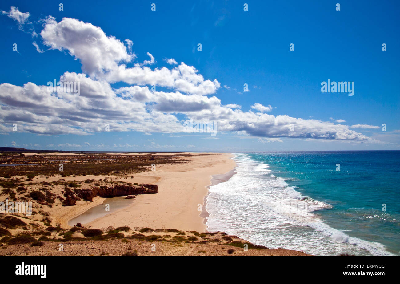 La spiaggia di Santa Monica, Boa Vista, Capo Verde Foto Stock