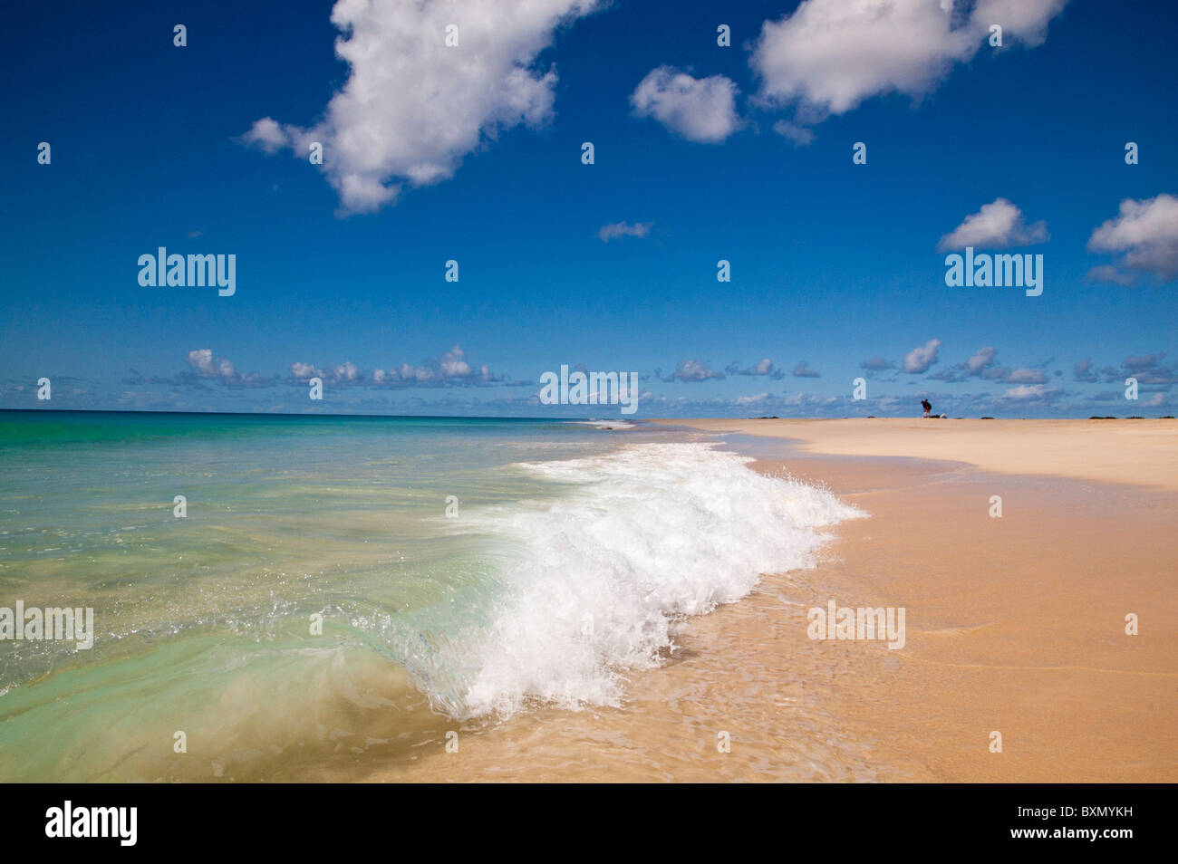 Curral Velho sulla spiaggia di Boa Vista, Capo Verde Foto Stock