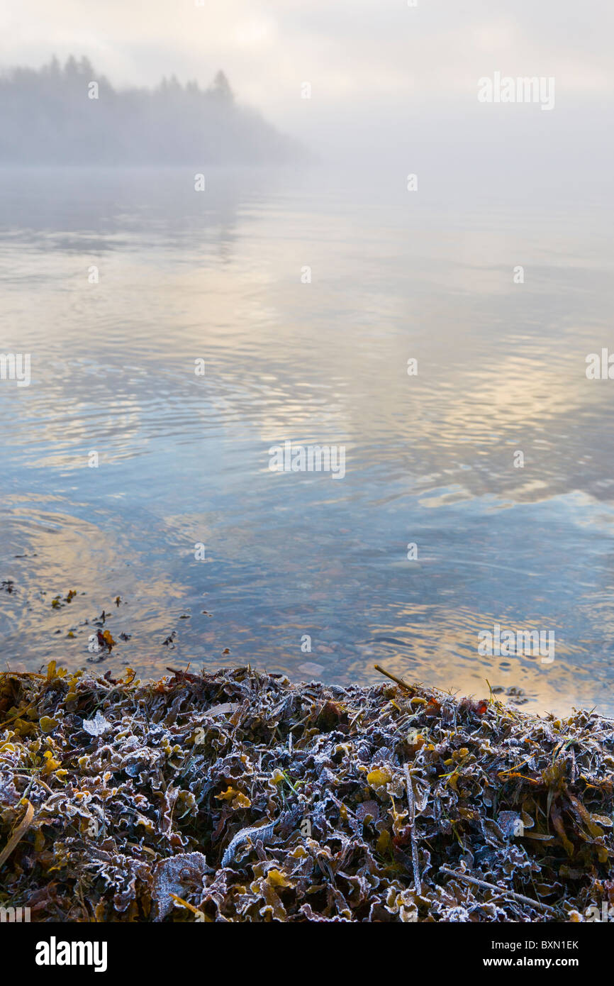 Foschia mattutina nel 'arcipelago di Stoccolma, Svezia. Foto Stock