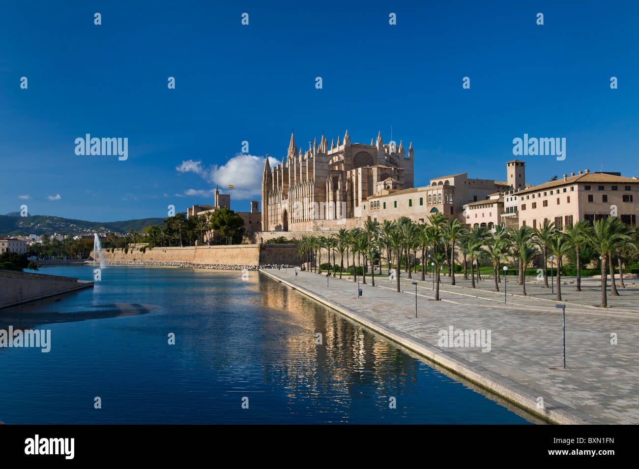 La cattedrale di Palma La Seu MALLORCA e Parc de la Mar centro storico vista lungo mare ingresso Maiorca Isole Baleari Spagna Foto Stock