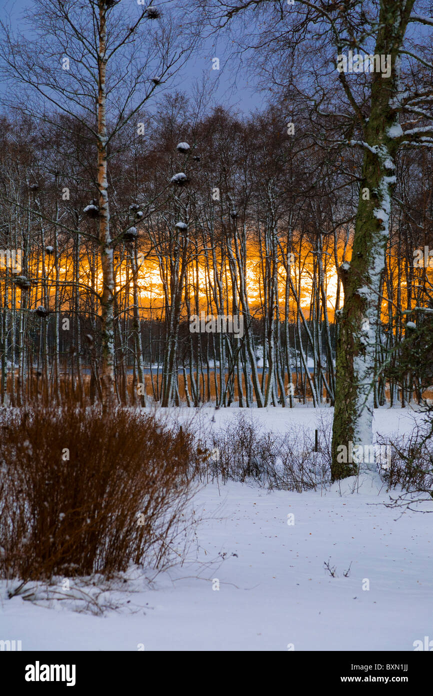 Tramonto in un paesaggio invernale. Foto Stock