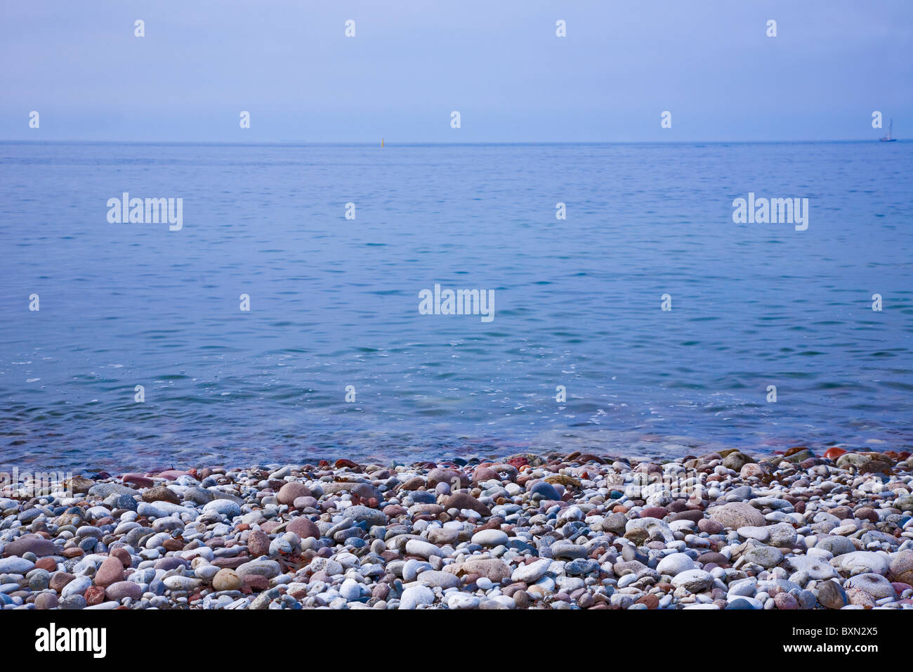 Pebble-spiaggia di pietra su Gotland (Svezia). Foto Stock