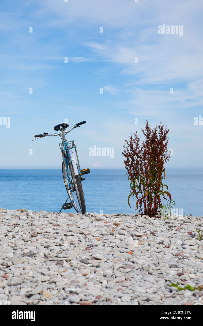Bicicletta sulla spiaggia su Gotland (Svezia). Foto Stock