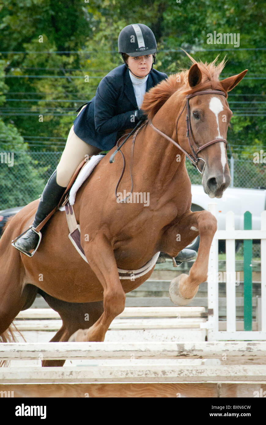 Maryland State Fair, cavallo e fantino Foto Stock