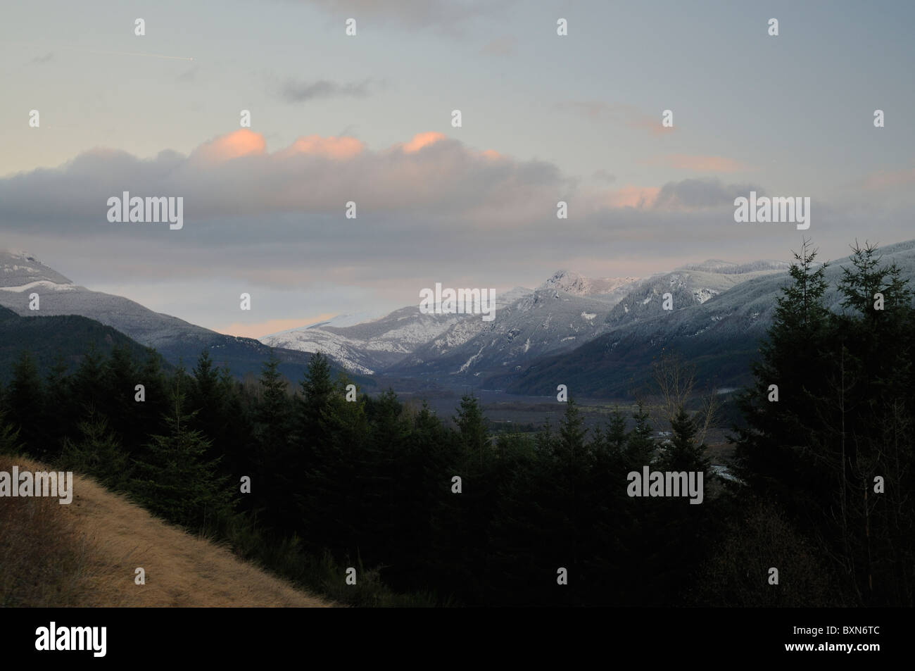 Mt St Helen Foto Stock