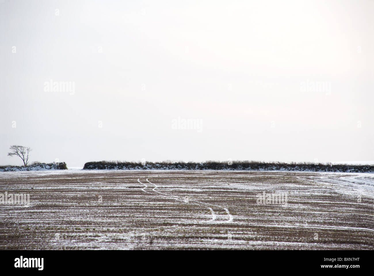 Scena invernale di una fattoria campo con neve giacente a terra e le tracce lasciate da un veicolo in marcia attraverso il campo. Foto Stock