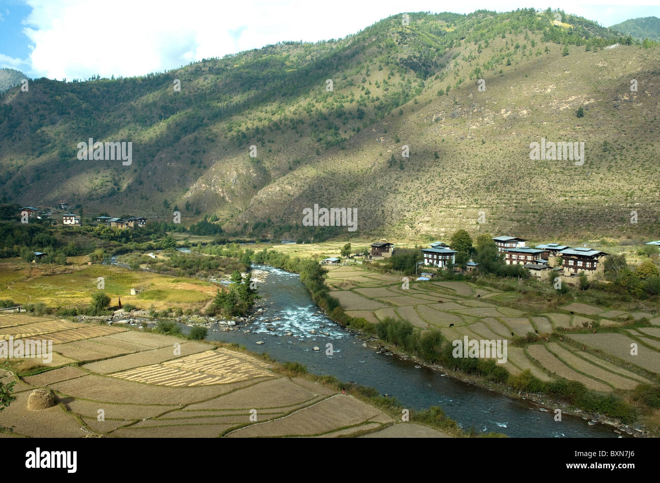 River Valley terreni agricoli vicino a Thimpu, capitale del Bhutan Foto Stock