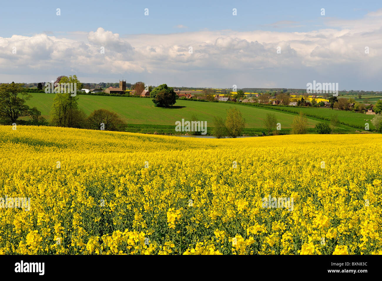 Paesaggi rurali dell'Inghilterra Foto Stock