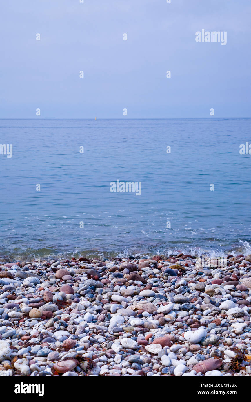 Pebble-spiaggia di pietra su Gotland (Svezia). Foto Stock