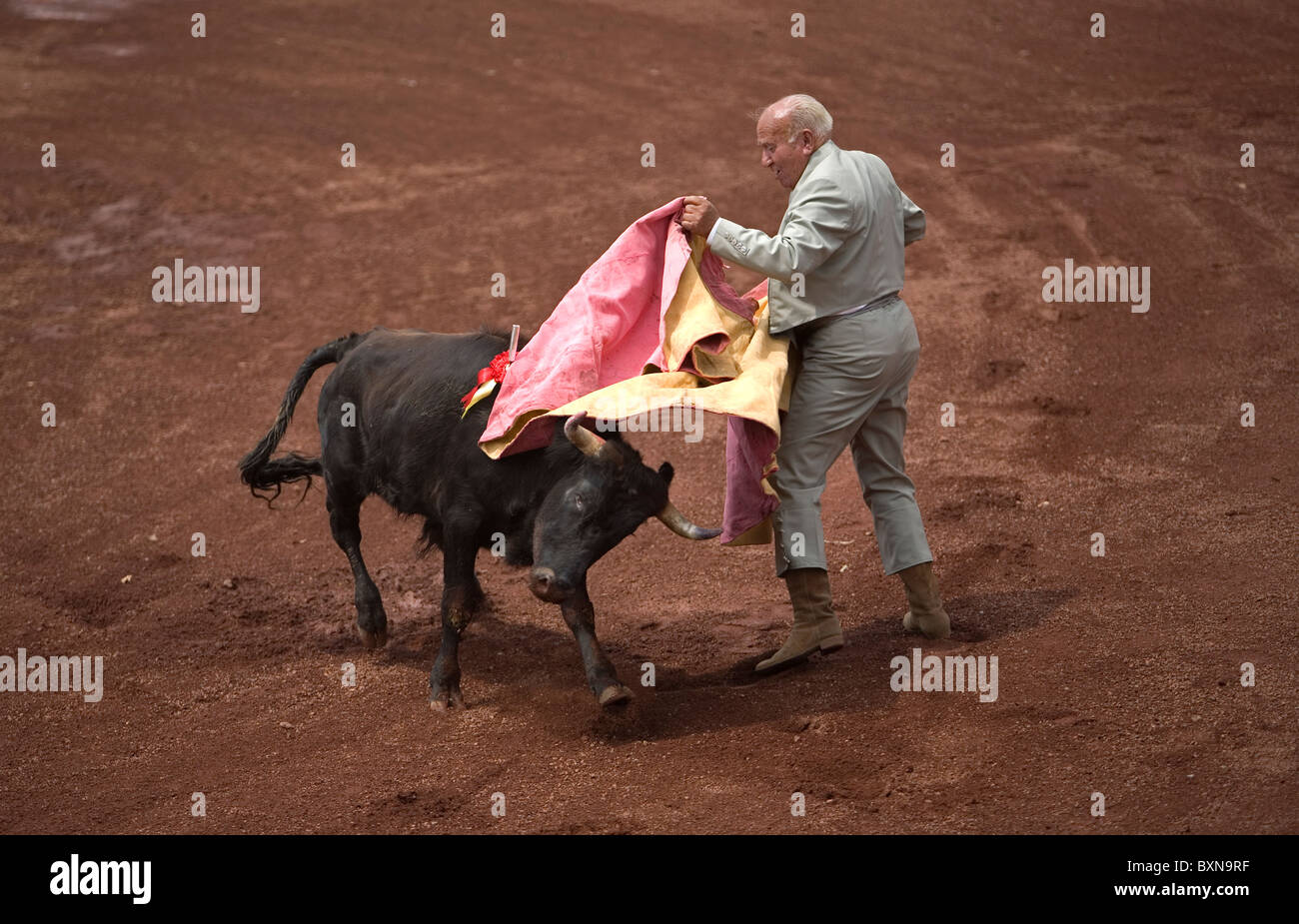 Un anziano torero combatte un toro durante una corrida in Città del Messico, 13 settembre 2008. Foto Stock