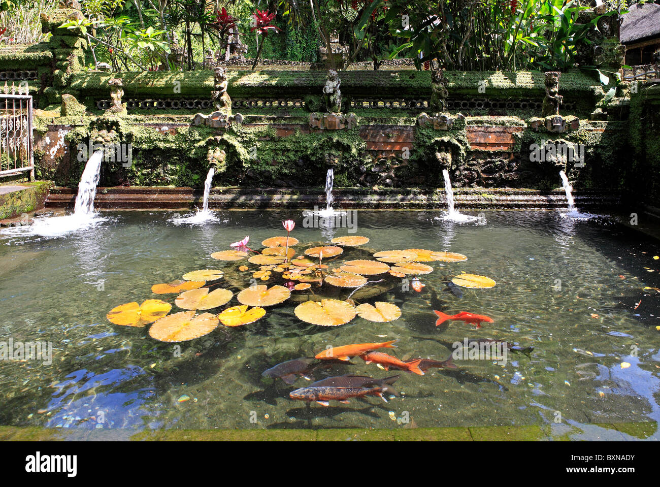 Uno dei sette piscine che offre acqua santa o di balneazione a Pura Gunung Kawi Sebatu tempio, Tegallelang. Nei pressi di Ubud. Bali, Indonesia Foto Stock