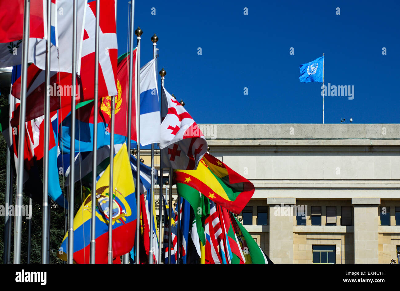 Il blu della bandiera delle Nazioni Unite e dalle bandiere di tutti i paesi nella corte di bandiere, Nazioni Unite,ONU, Ginevra, Svizzera Foto Stock