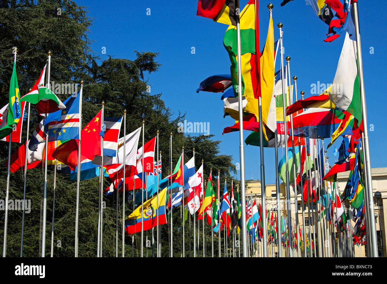 Bandiere di tutti i paesi di tutto il mondo, Corte di bandiera, Nazioni Unite onu, Palais des Nations, Ginevra, Svizzera Foto Stock