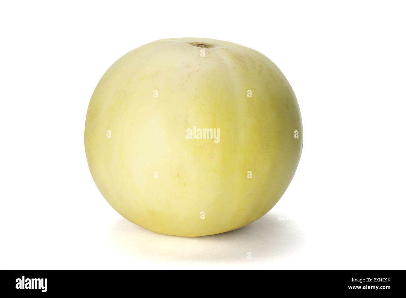 Freschi di melone Honeydew su sfondo bianco Foto Stock