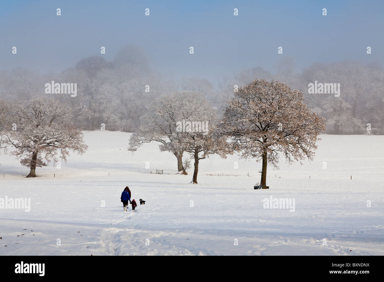 Famiglia camminando attraverso la coperta di neve i campi Foto Stock