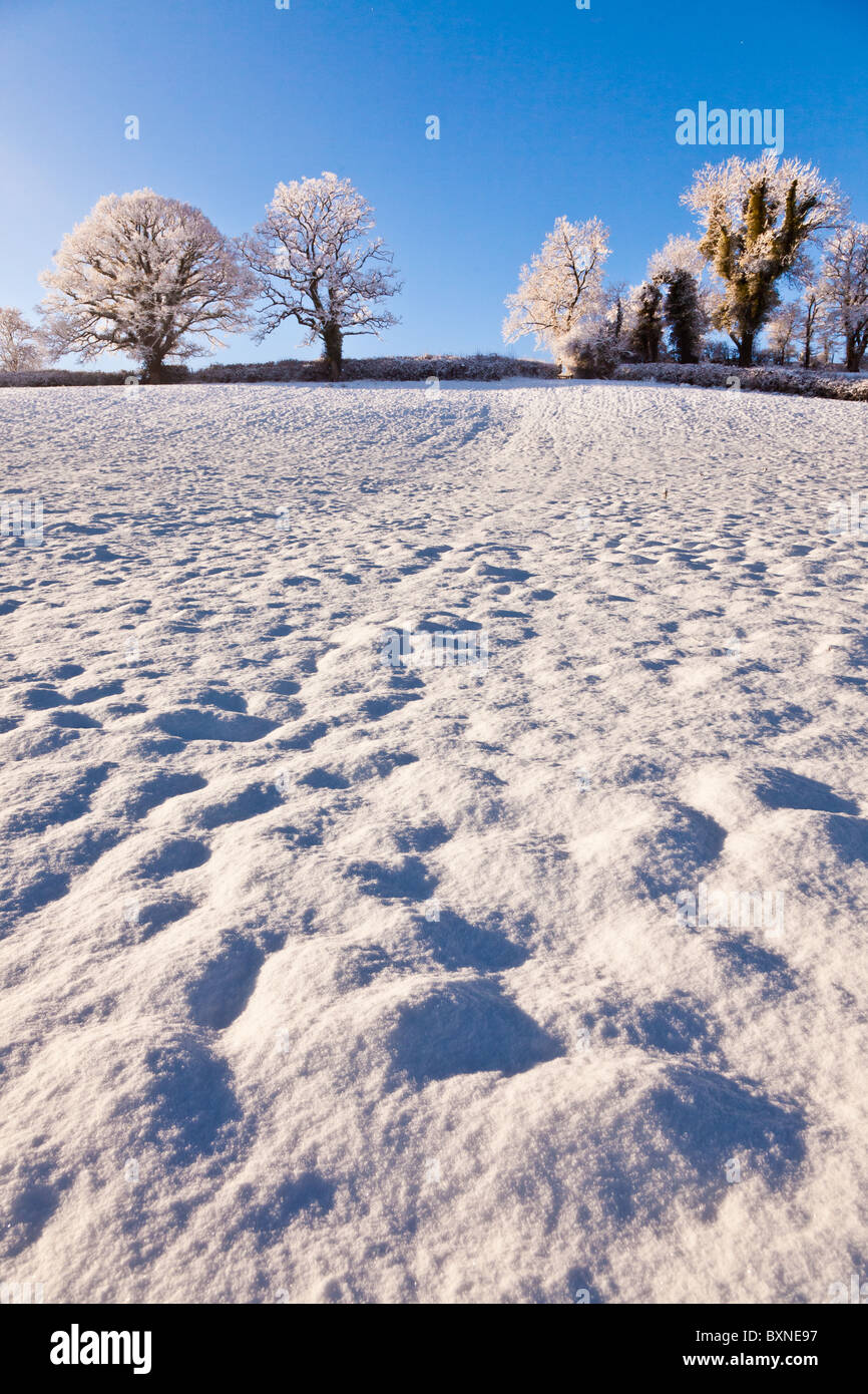 Fresco di neve caduti in campi rurali Foto Stock