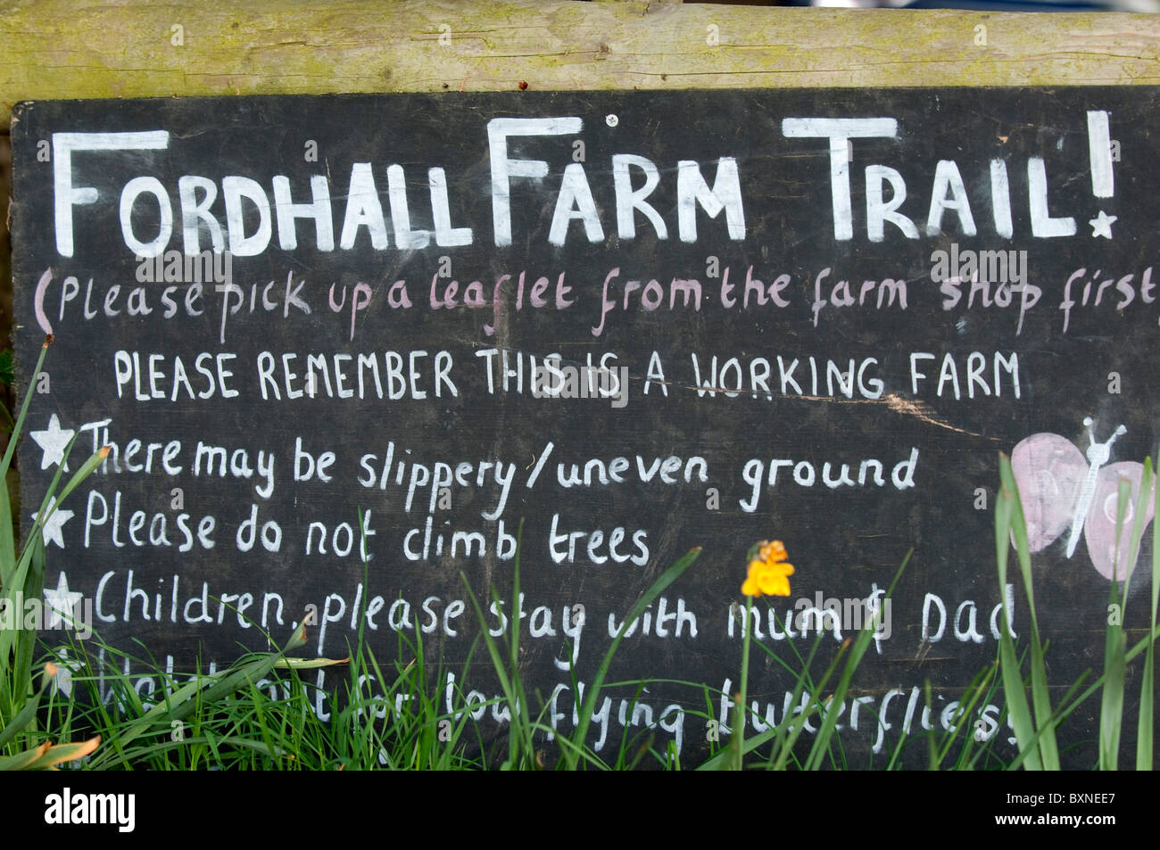 Segni a Ford Hall farm, Market Drayton, Shropshire. L'azienda agricola è gestita, possedute da 8000 persone, gestito da Ben e Charlotte Hollins. Foto Stock