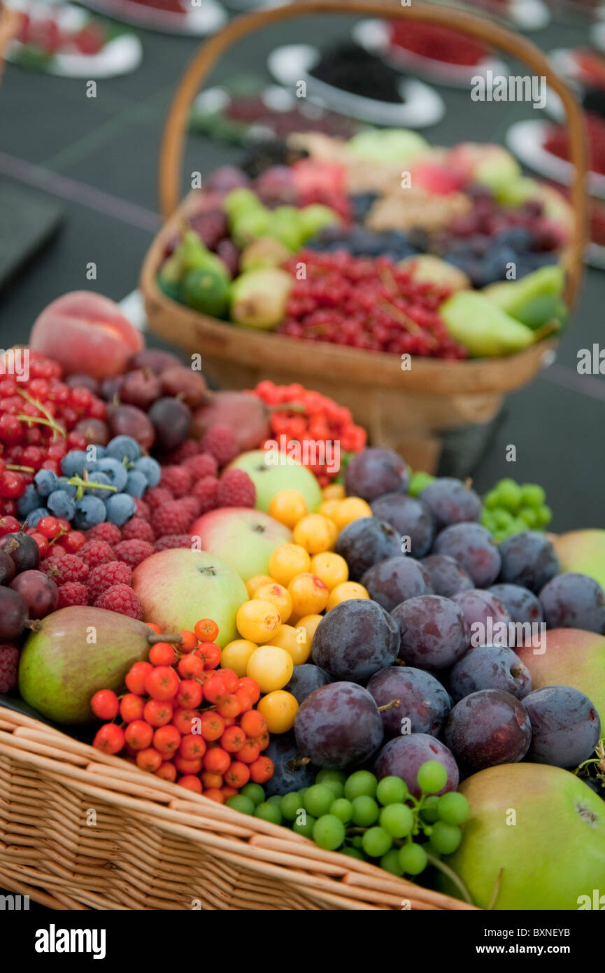 Un cesto di frutti estivi. Foto Stock