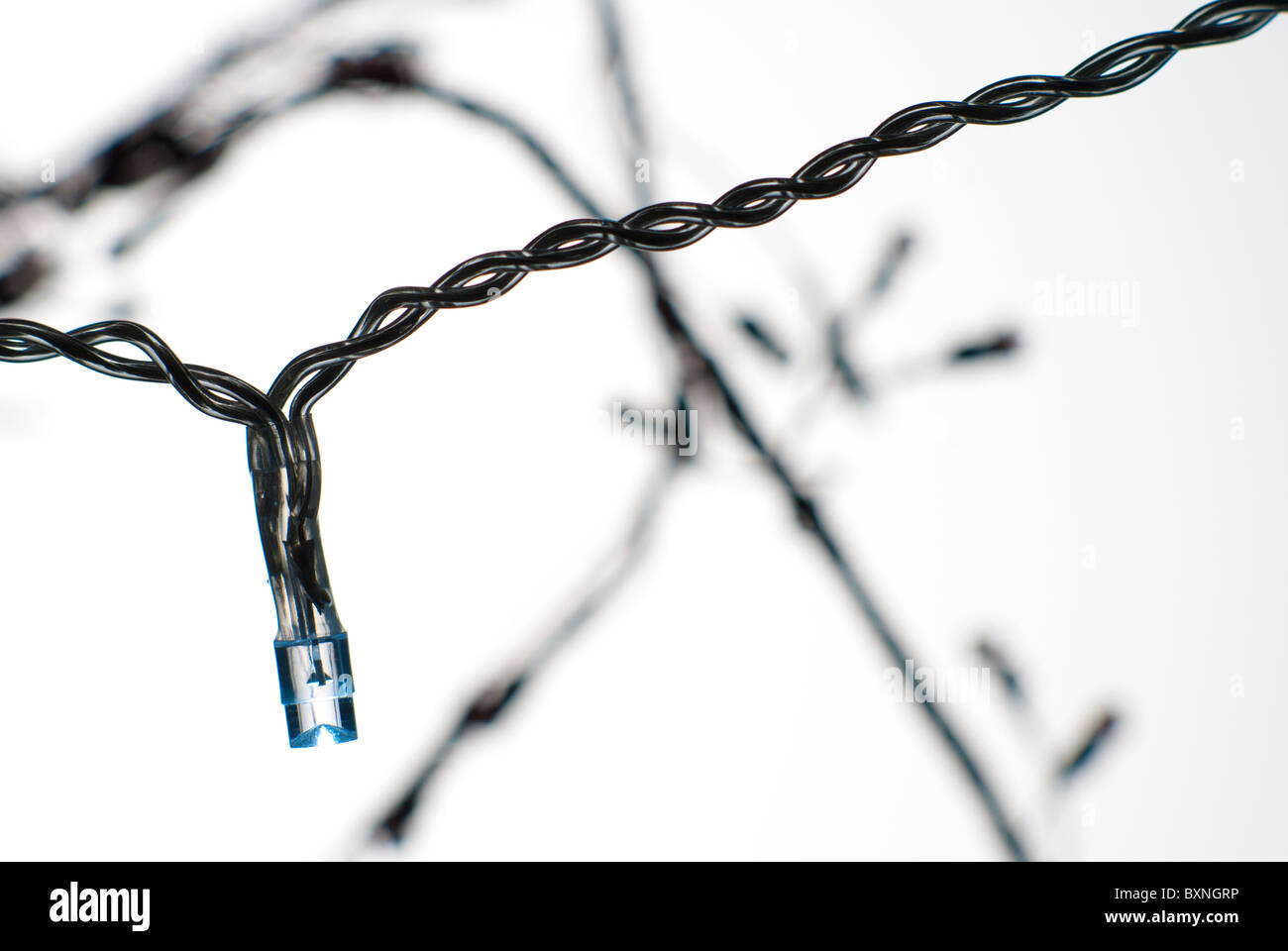 Albero di natale luce fairy sparato contro uno sfondo bianco con la luce solo circa visibile, silhouette di altre luci visibili Foto Stock