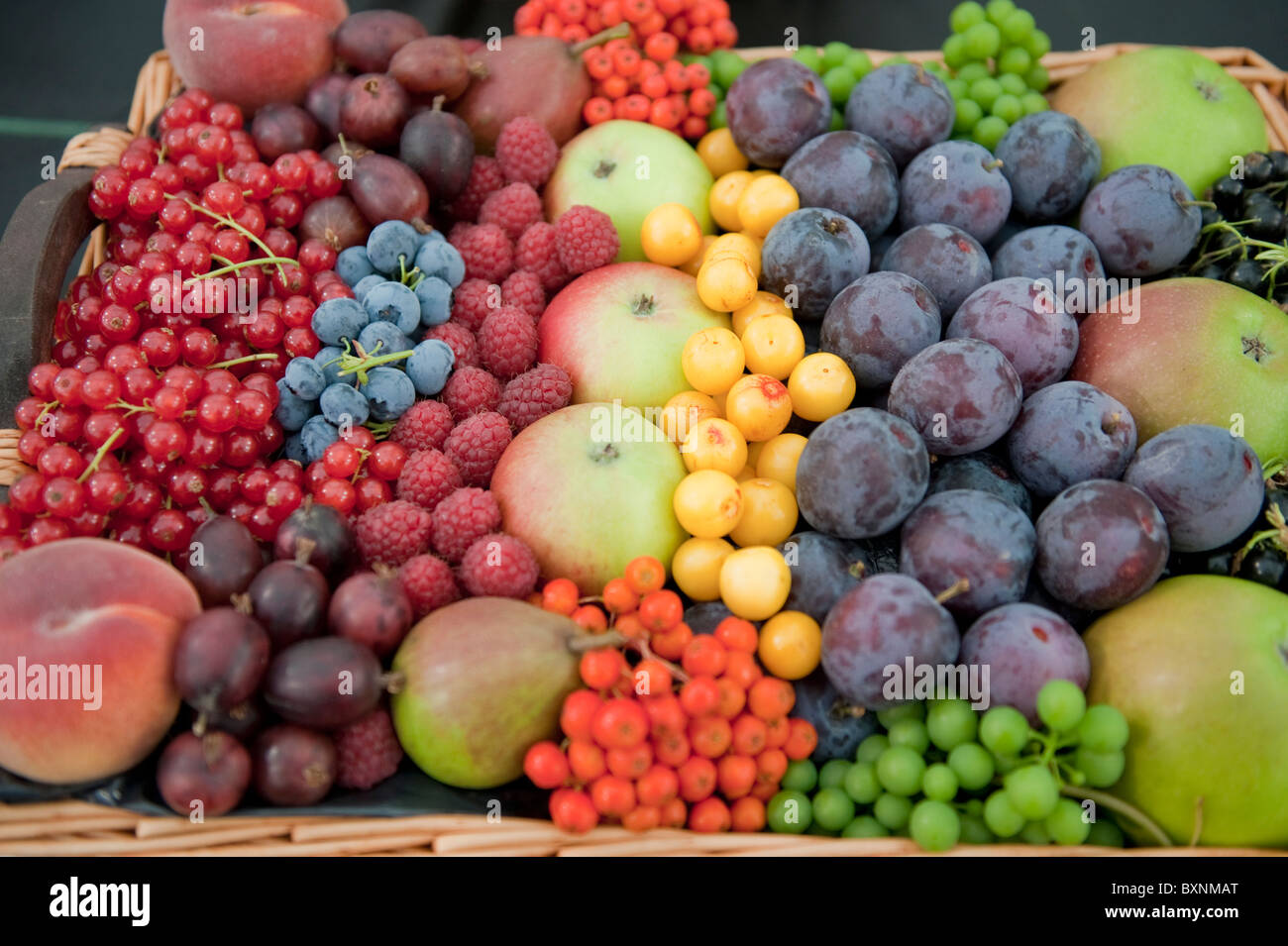 Un cestello di colorati frutti d'estate. Foto Stock
