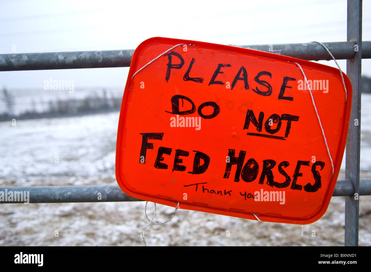 Non alimentare i cavalli sulla scritta in rosso di un vassoio di plastica e attaccato ad una porta di metallo. Foto Stock