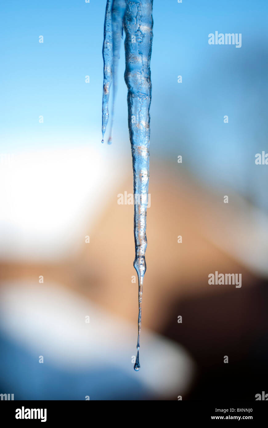 Ghiaccioli appesi con case visibile sfocati sullo sfondo rendendo i ghiaccioli facilmente definibili Foto Stock