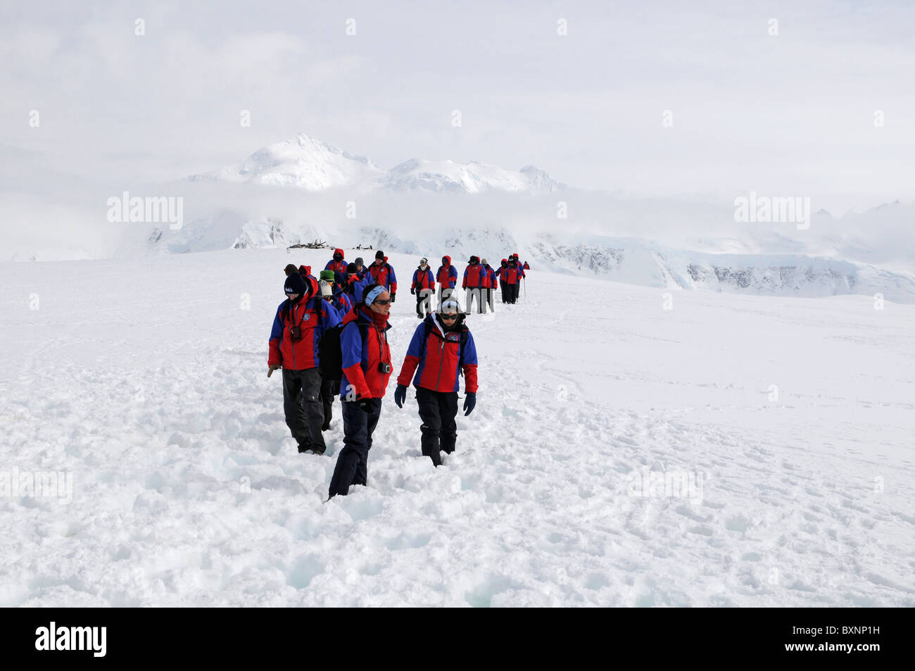 I turisti con giacche rosse a piedi nella Damoy Point, isola Wiencke, Palmer arcipelago, Antartide Foto Stock