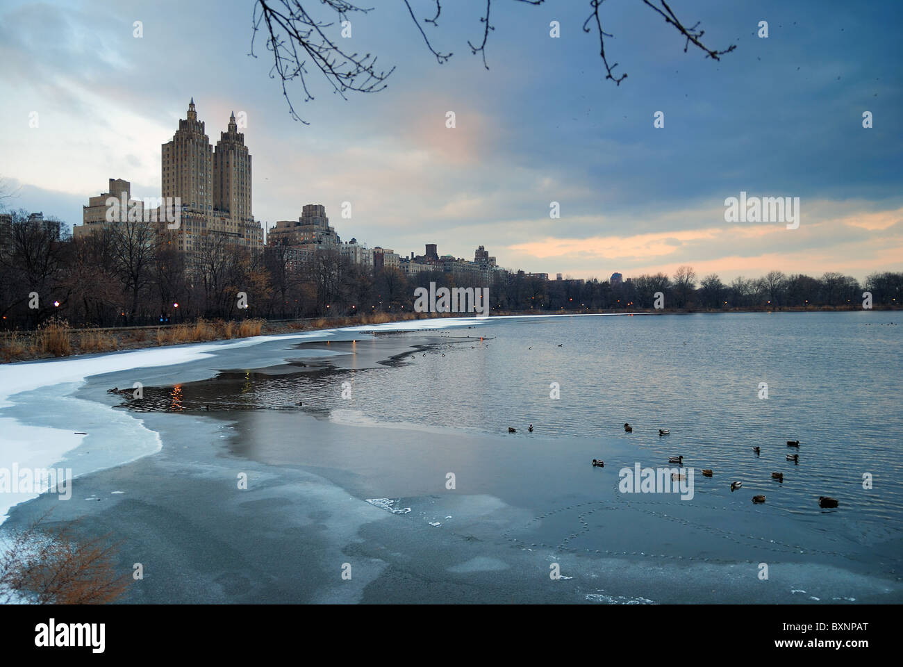 Central Park in inverno, New York City, con lago ghiacciato e anatre Foto Stock