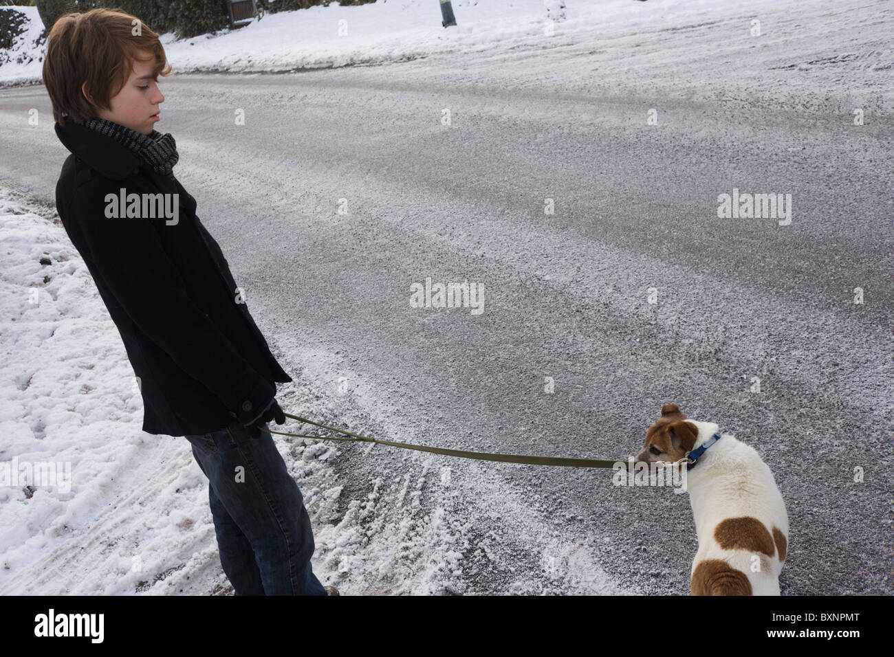 Giovani 12 anno-vecchio ragazzo circa a croce strada ghiacciata a camminare un pet Terrier cane durante inverno nevica. Foto Stock