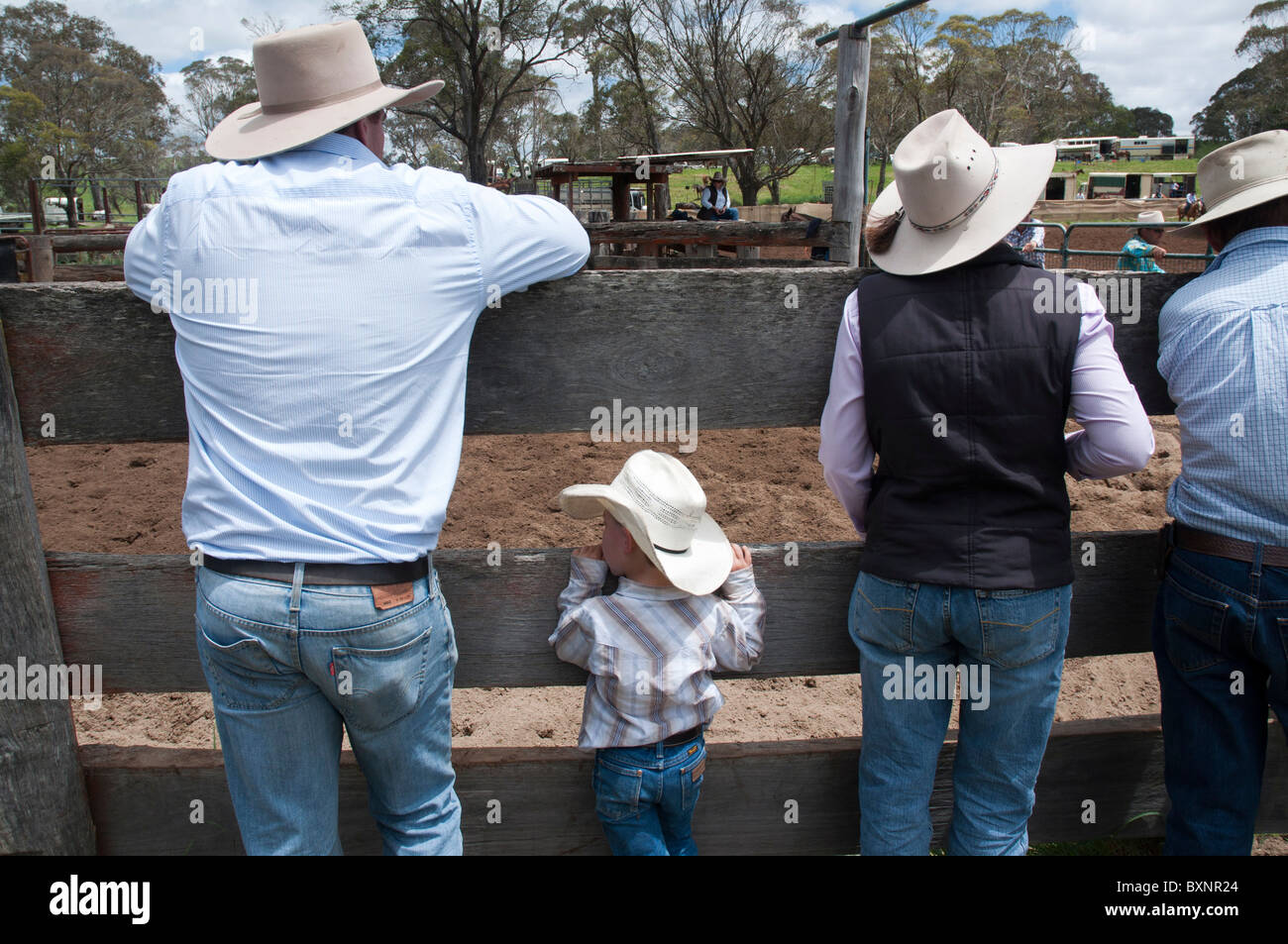 Australian cowboy guardando il Ebor accampamento annuale progetto di concorrenza nei pressi di Armidale New South Wales Foto Stock