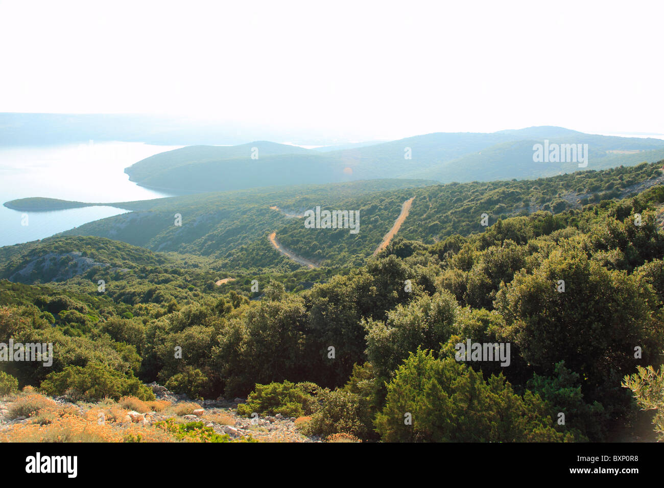 Piste di Losinj Island, nella distanza isola di Cres, Croazia Foto Stock