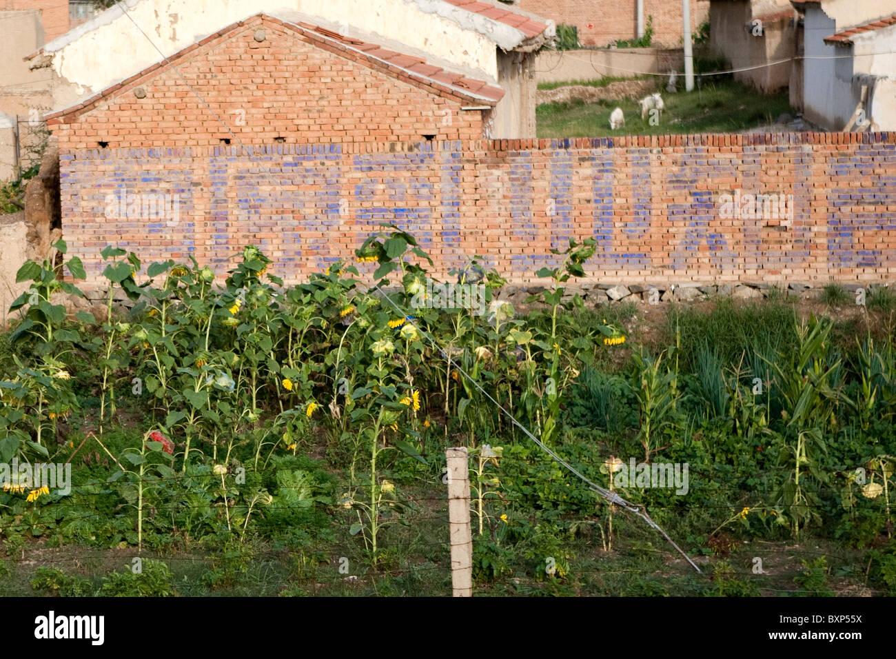 Trans-Mongolian Express, Cina. Vistas - case + riparto Foto Stock