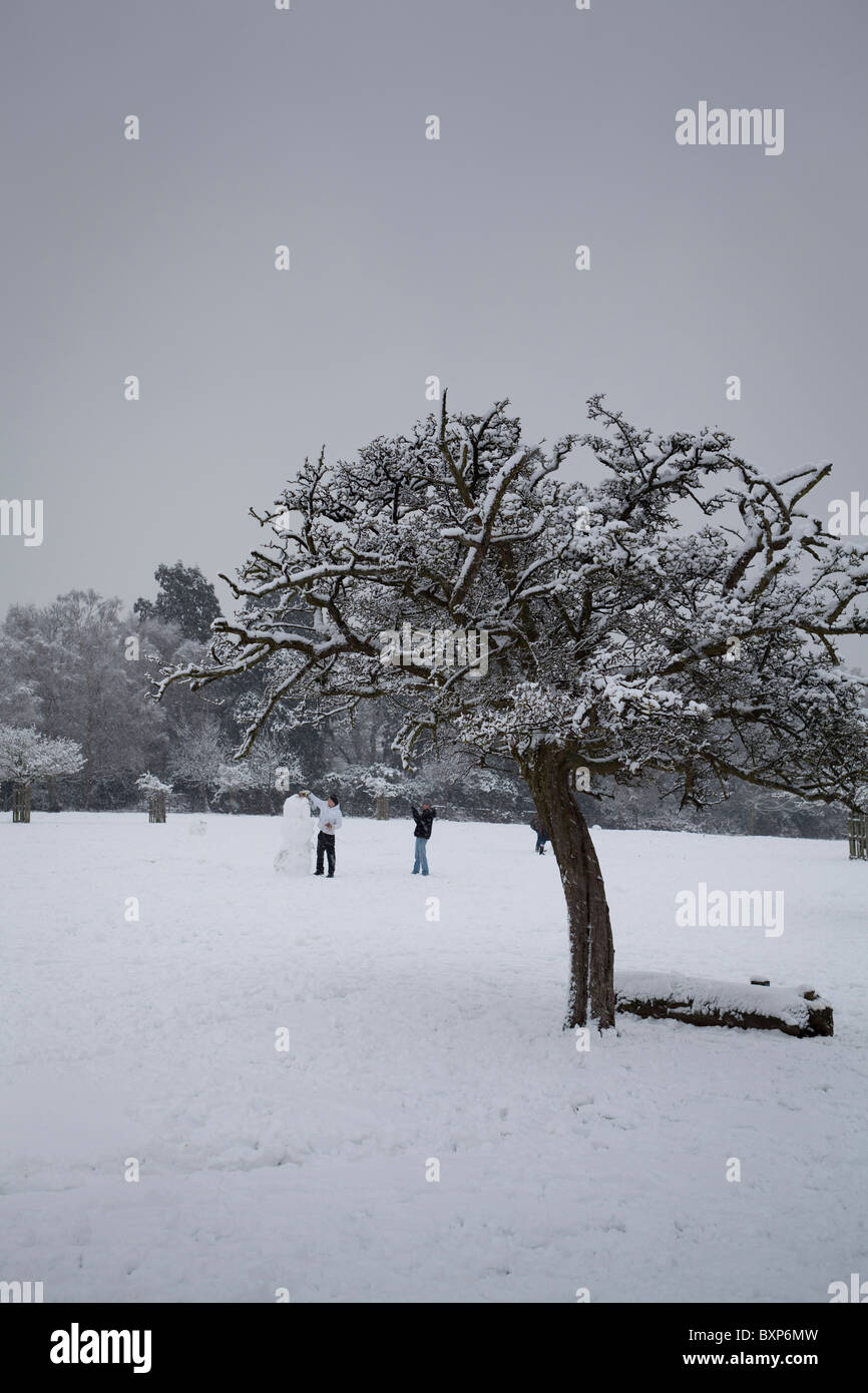 Neve in Richmond Park,Surrey, Regno Unito Foto Stock