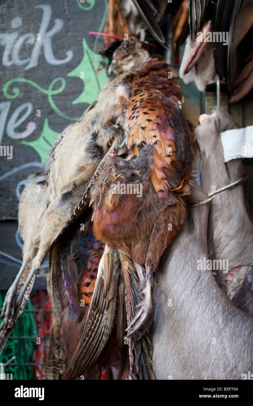 Carni di selvaggina di allevamento sul display,Borough Market,Londo,England-Close-up Foto Stock