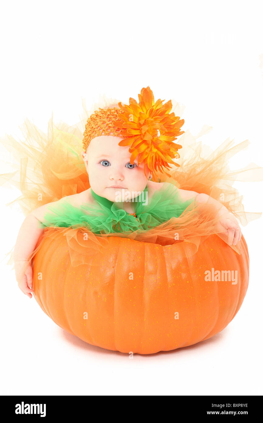 Adorabile bambina in arancione e verde tutu ubicazione in zucca su sfondo bianco. Foto Stock