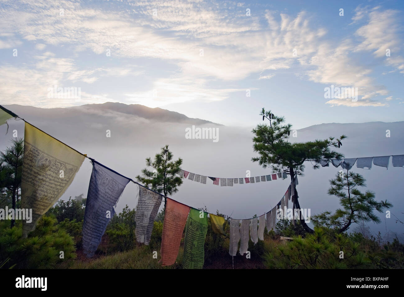 Nuvole di mattina di valle di Thimphu (capitale), Bhutan, Asia Foto Stock